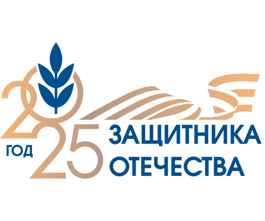 2025 год защитника отечества